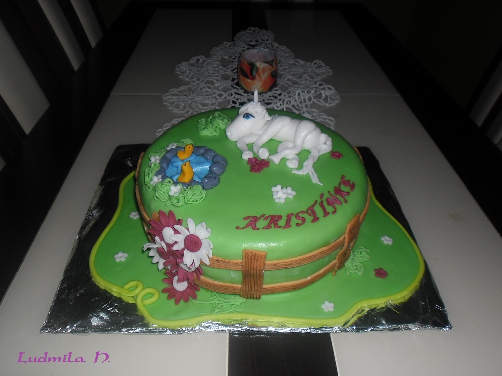 SAM_2607