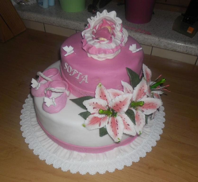 SAM_0696